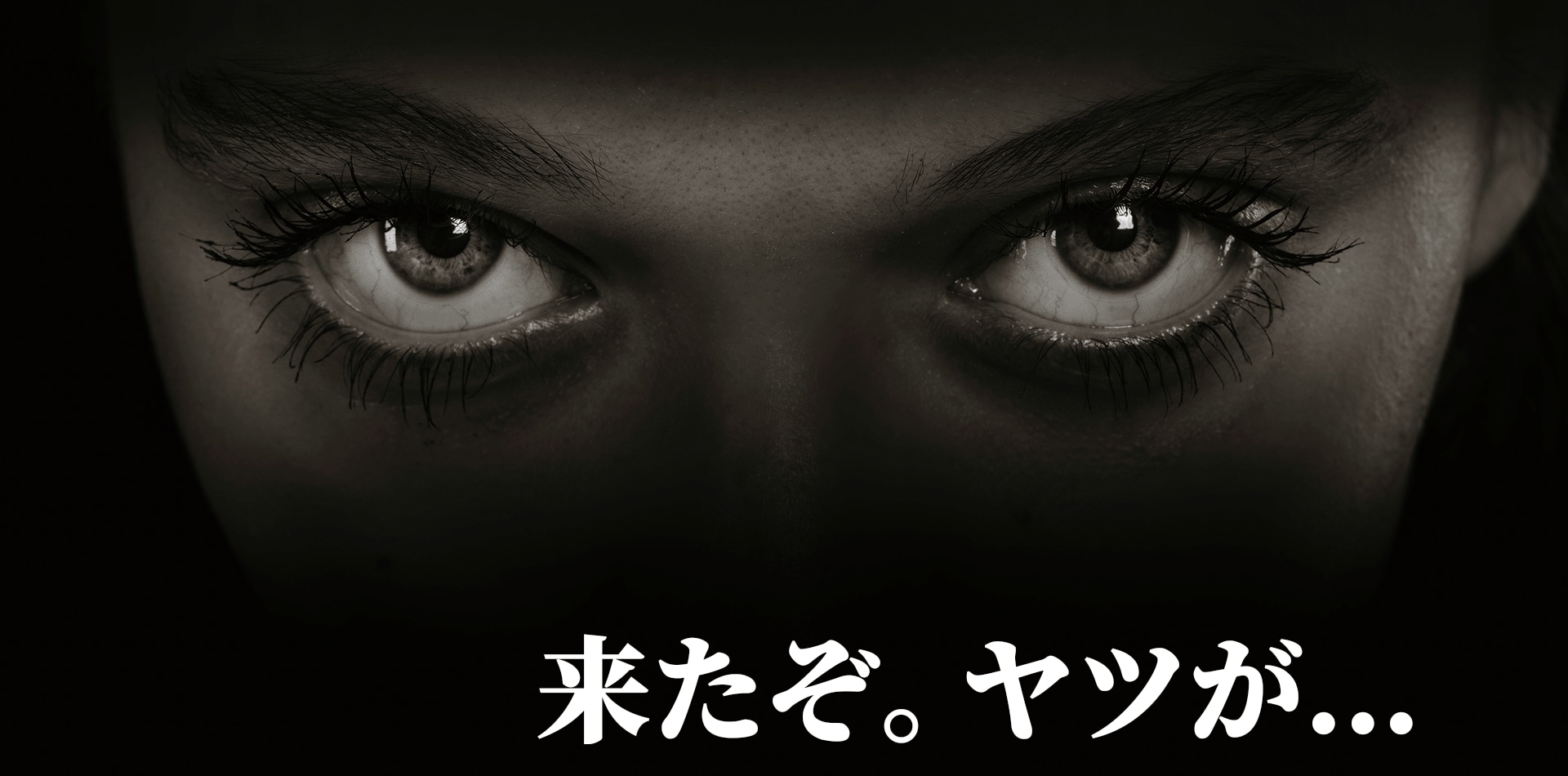 シルファームX、遂に到来。