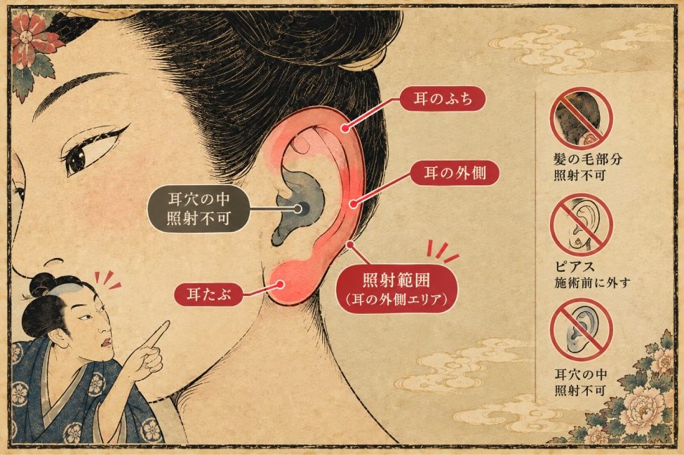 耳毛の照射範囲：耳穴の外側エリア