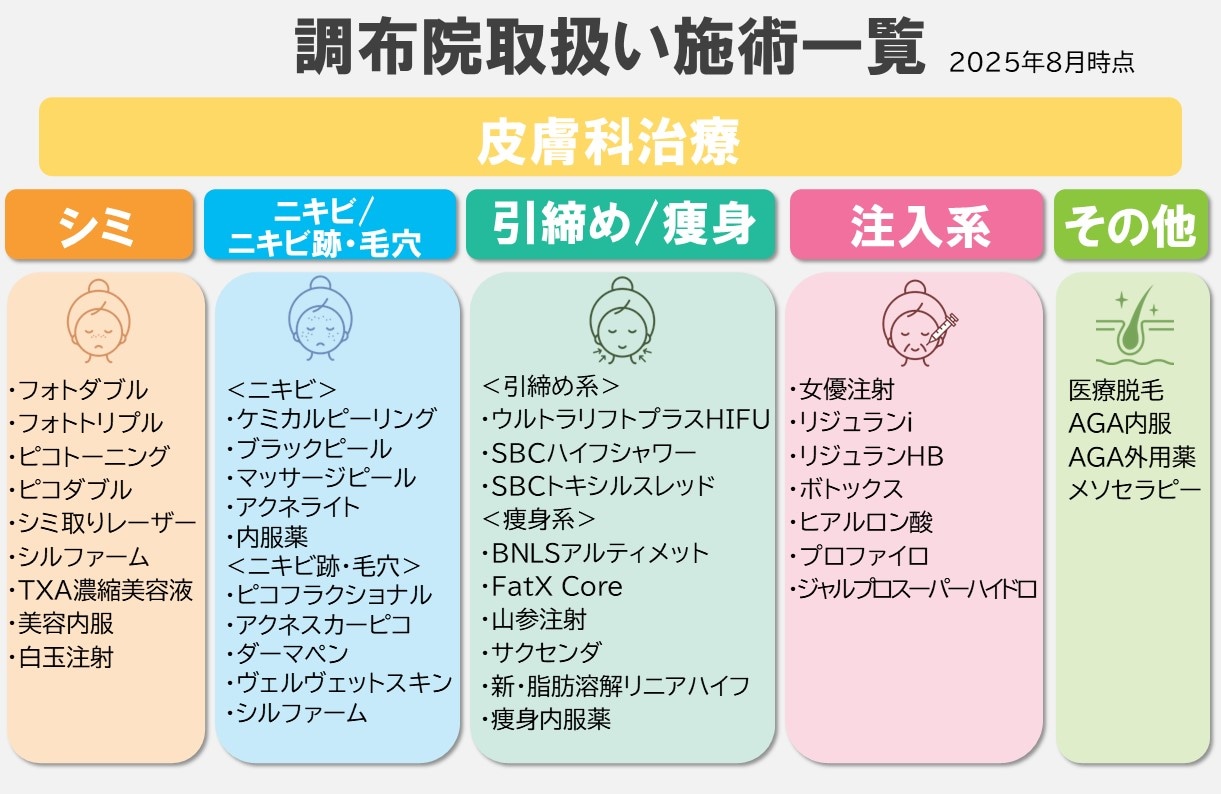 【シミ・ニキビ・ニキビ跡・毛穴・引き締め・痩身・注入系・その他】