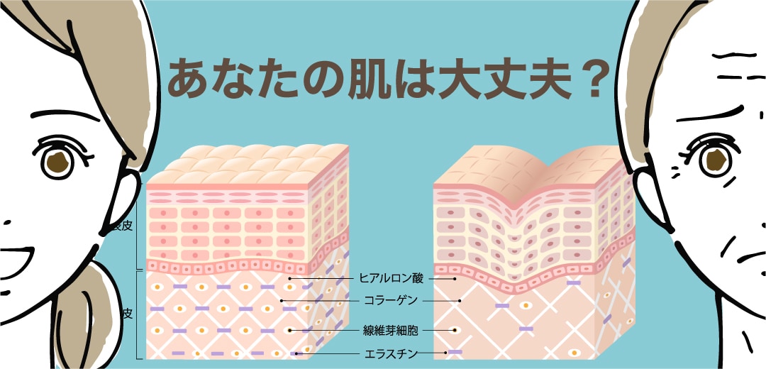 実は！たるみの原因はひとつではありません