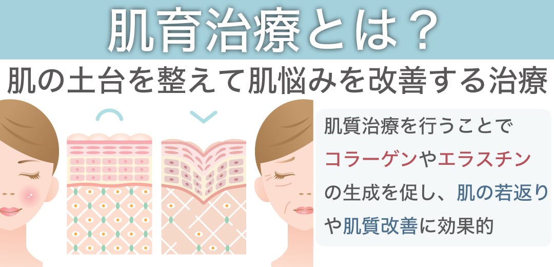 SNSやTVでよく見る