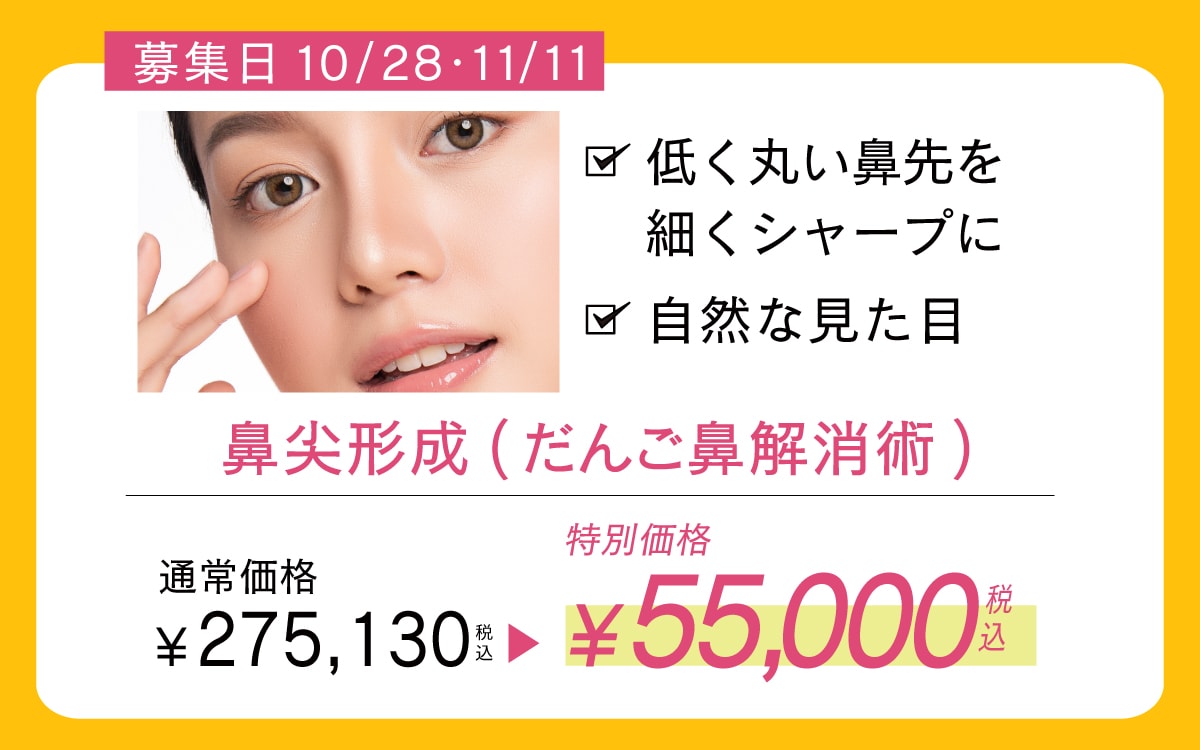 鼻尖形成(だんご鼻解消術)