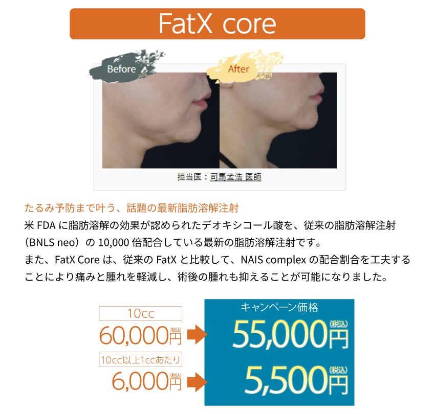 FatX core