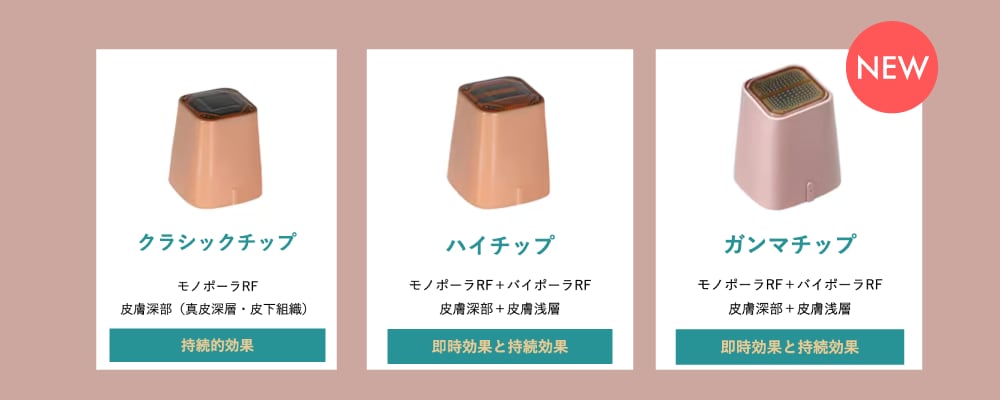 どう進化したの？チップの仕組みを大公開