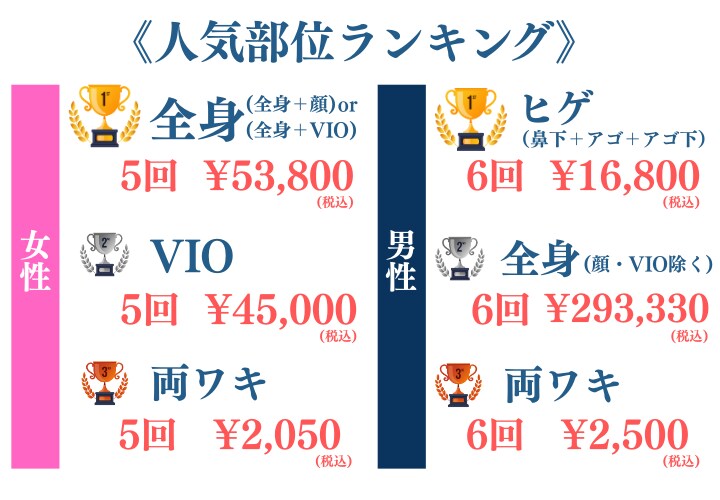 肌見せの季節！意外に始めやすい価格です！<br />
