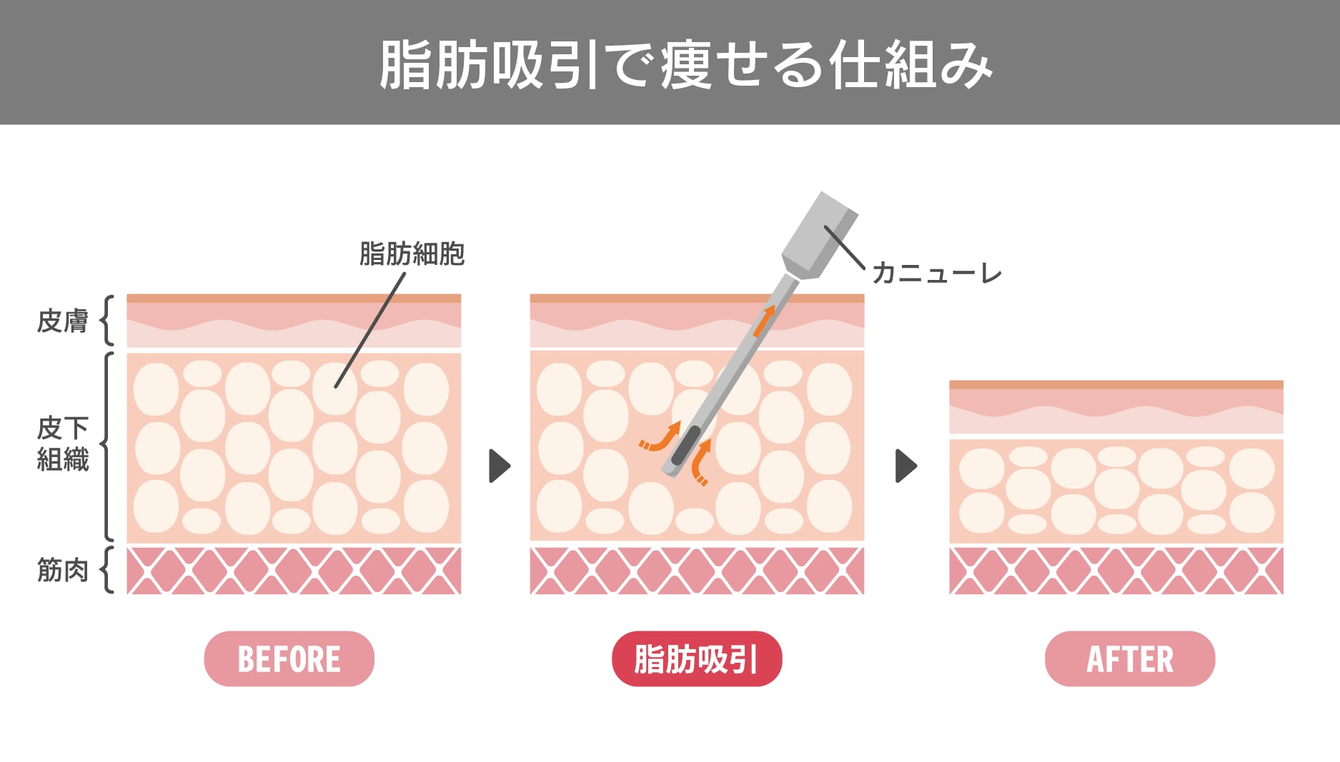 とってもシンプル！