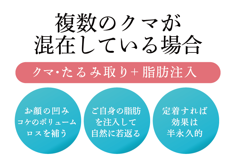 青クマ・茶クマの場合も複数のクマが混在していることが多い