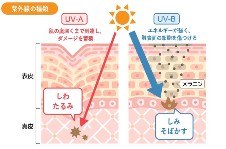 UV-AとUV-B