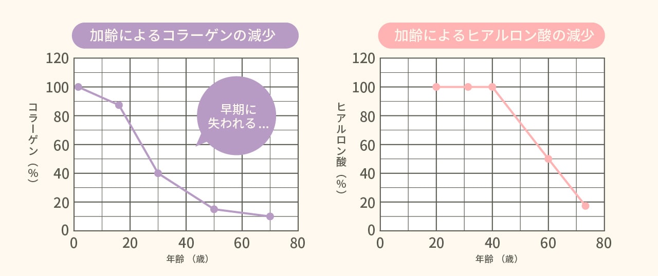 コラーゲンって何歳ぐらいから減り始めるの？