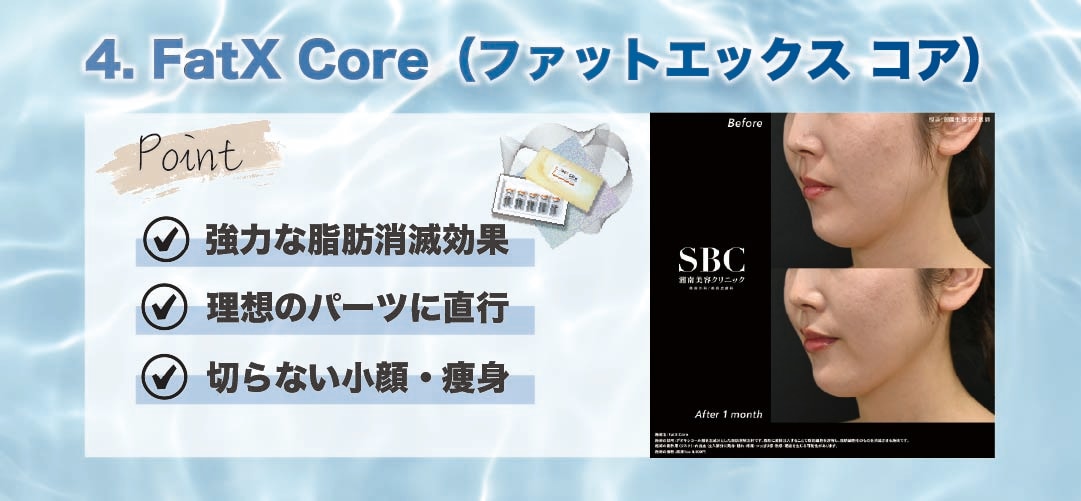 短期集中で変化を出したい方へ【FatX Core（ファットエックスコア）】