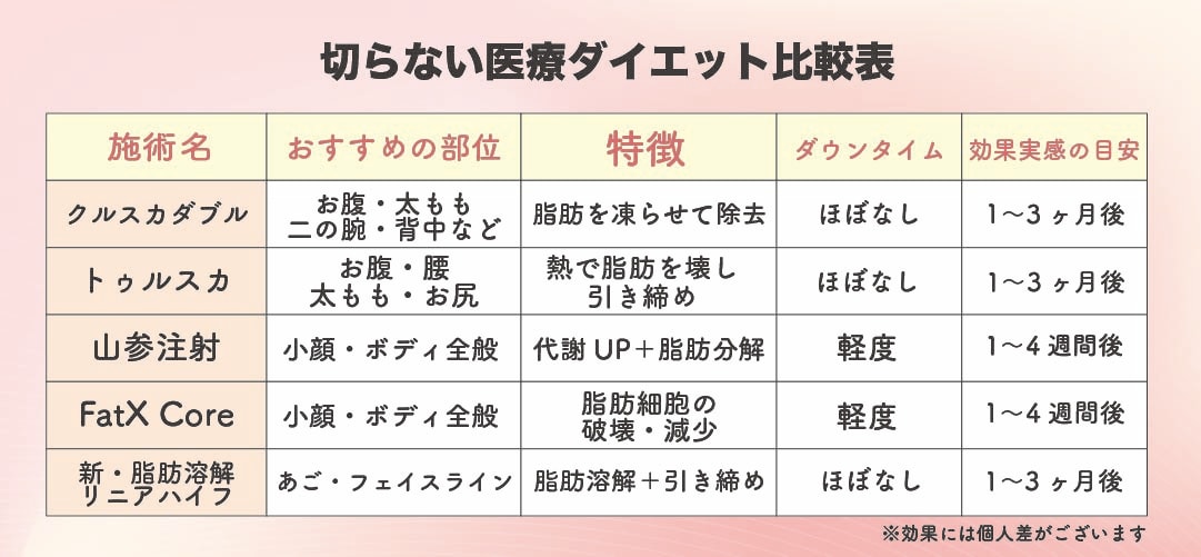 切らない医療ダイエット比較表