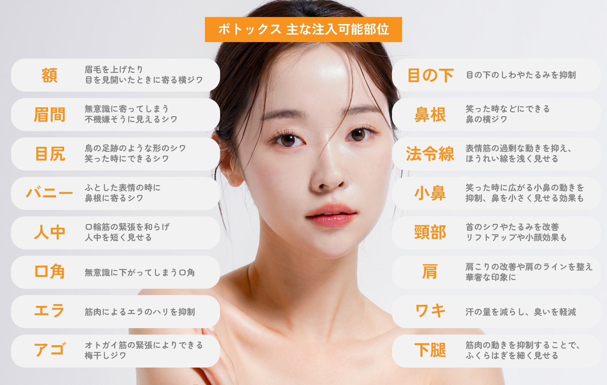 主な注入部位