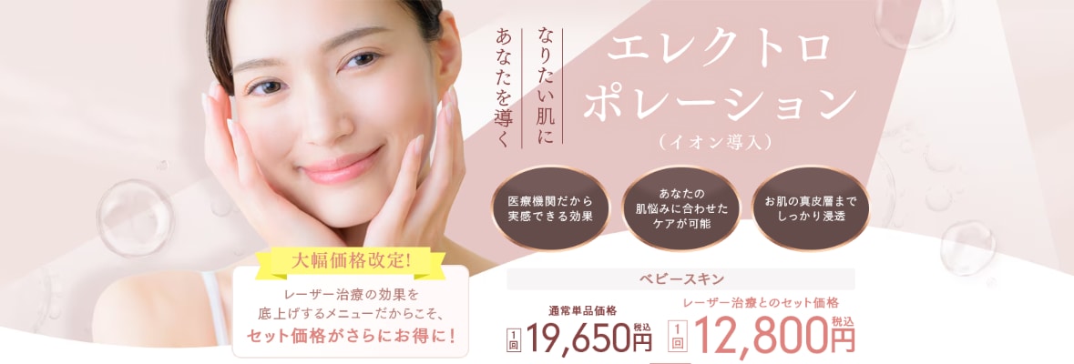 エレクトロポレーション(イオン導入)