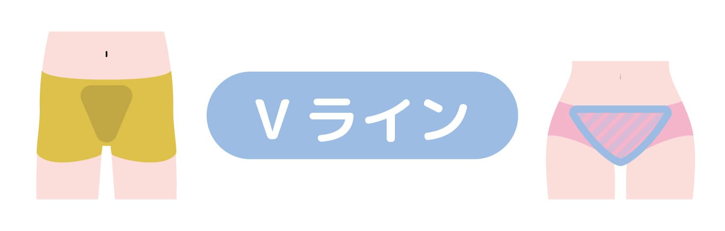 Vライン