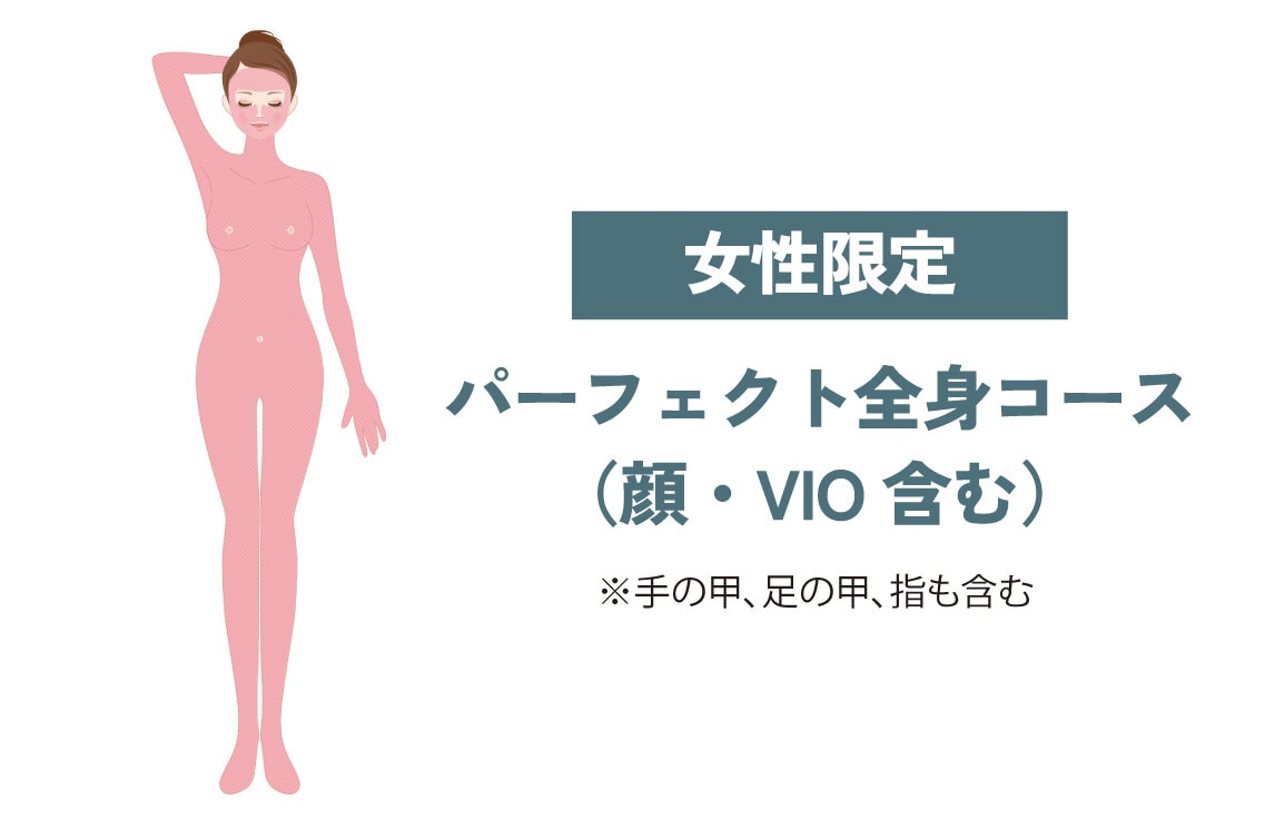 パーフェクト全身コース（顔・VIO含む）