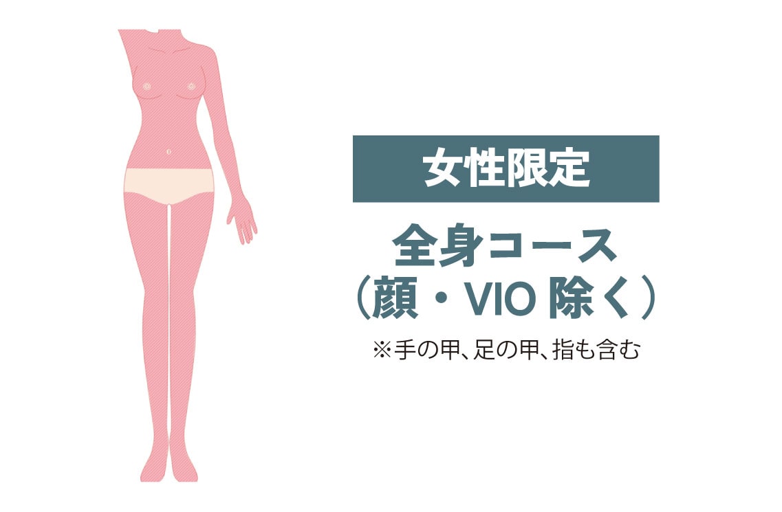 全身コース（顔・VIO除く）