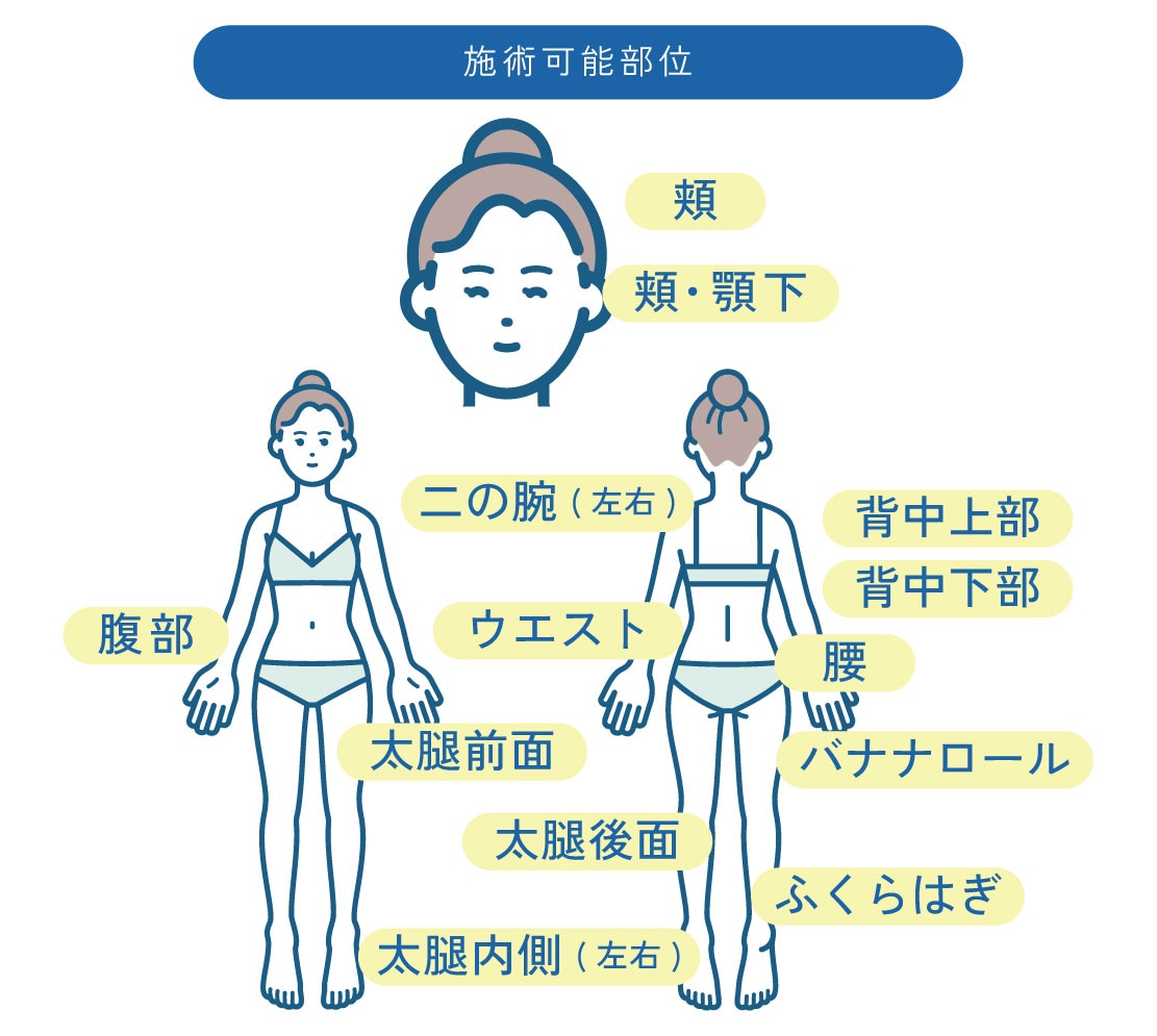 お得なコース価格も◎