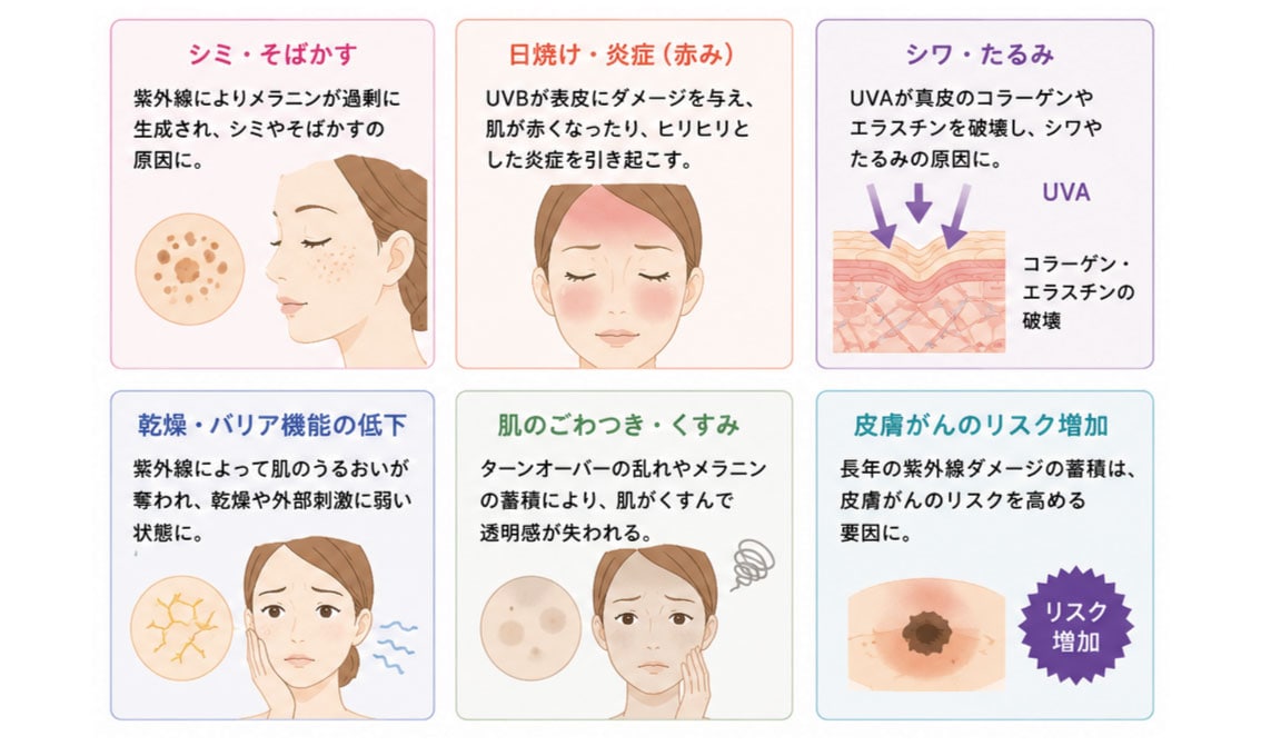 紫外線を浴びすぎると？