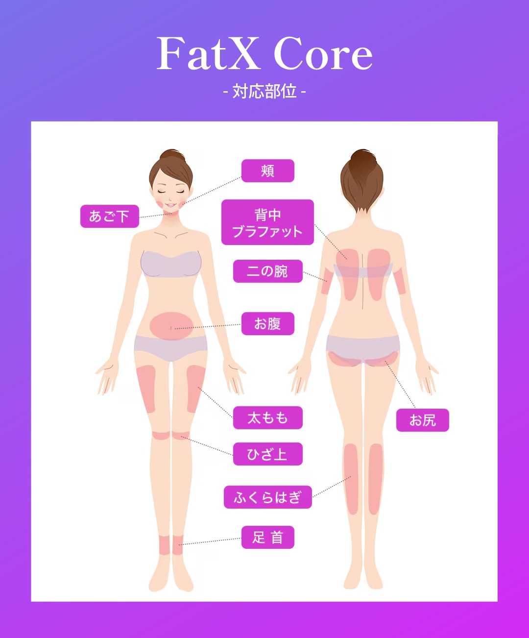 対応部位・施術量の目安
