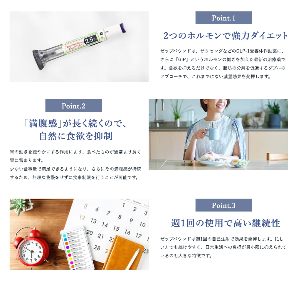 ゼップバウンドの特徴
