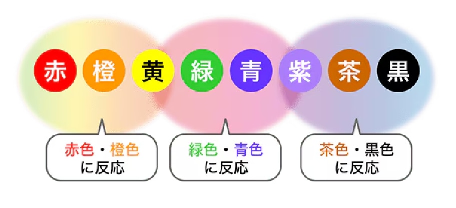 様々な色に対応可能！