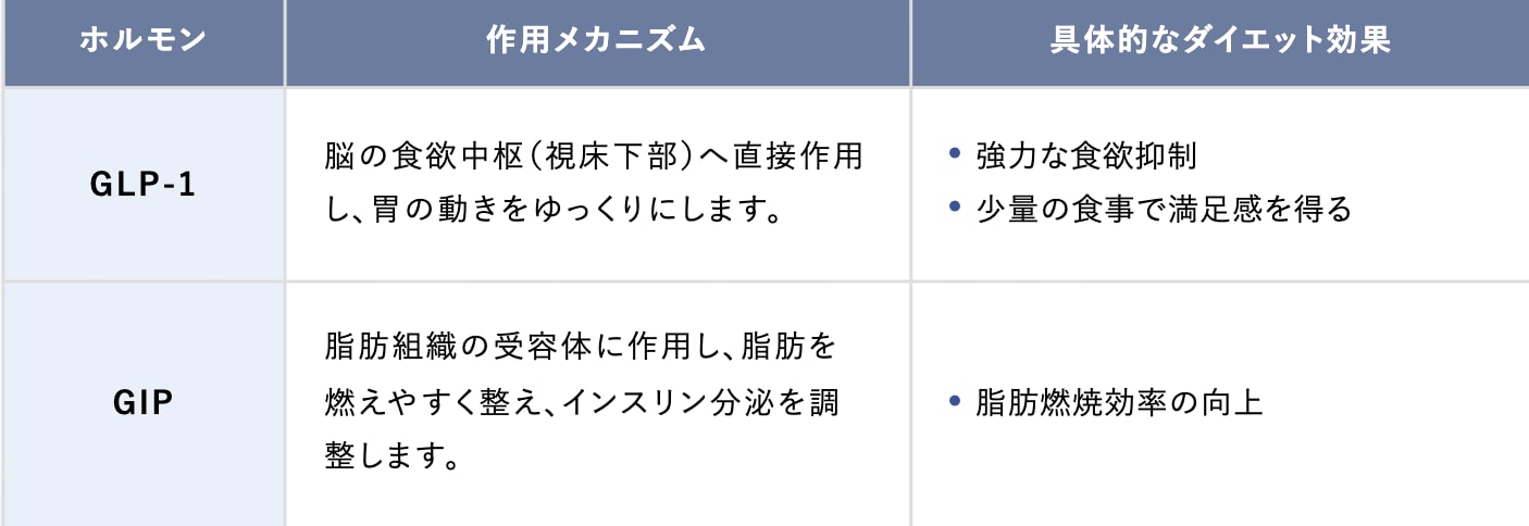ゼップバウンドによって自然に食欲が抑えられる理由