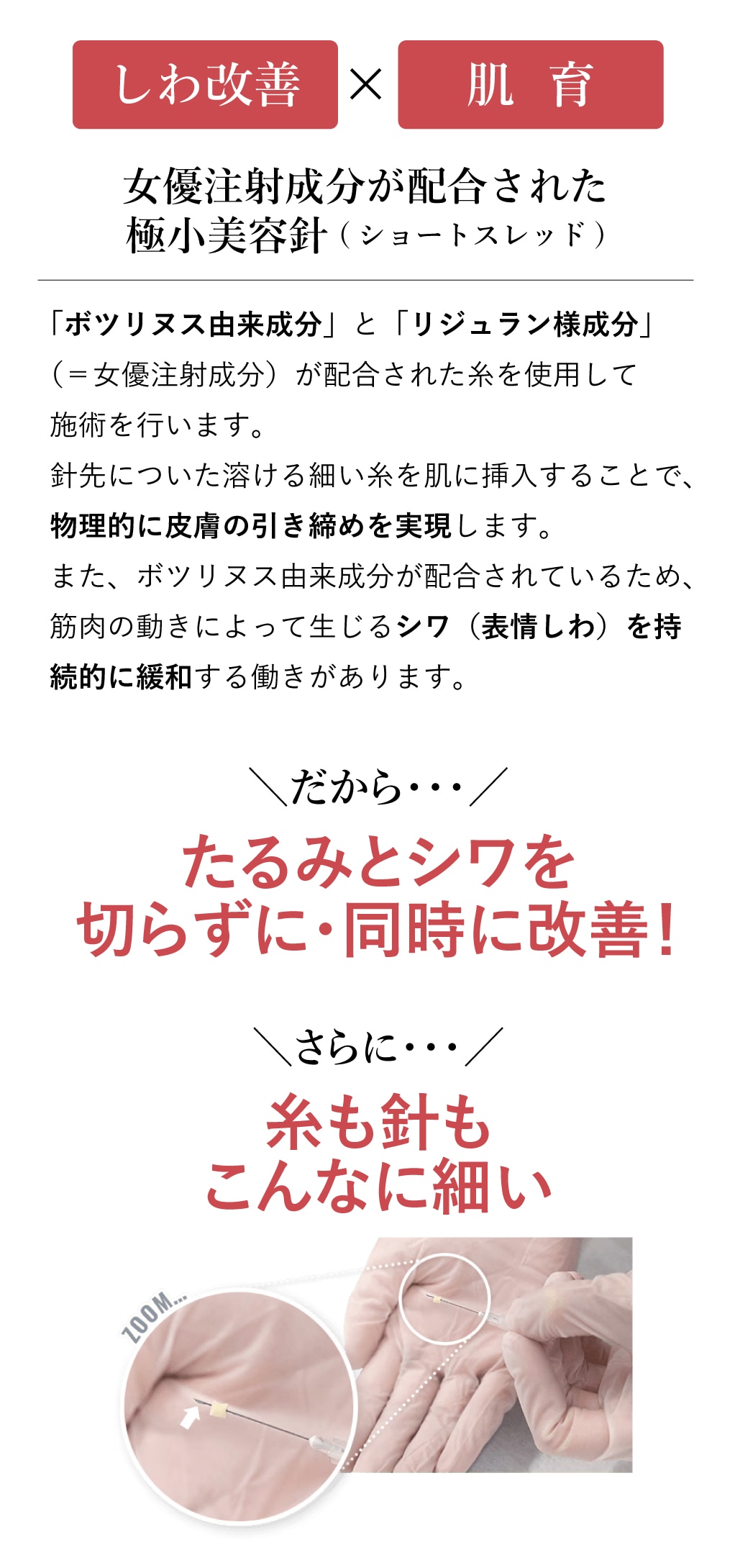 トキシルスレッド説明