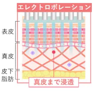 お肌の真皮層までしっかり浸透