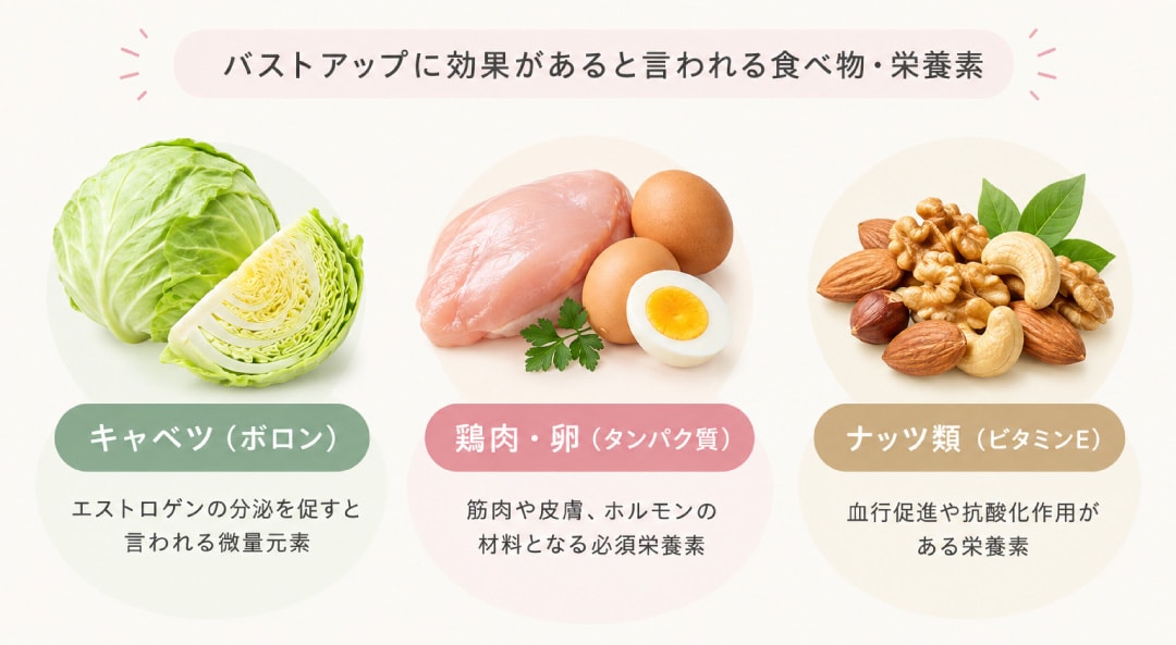 バストアップに効果があると言われる食べ物・栄養素