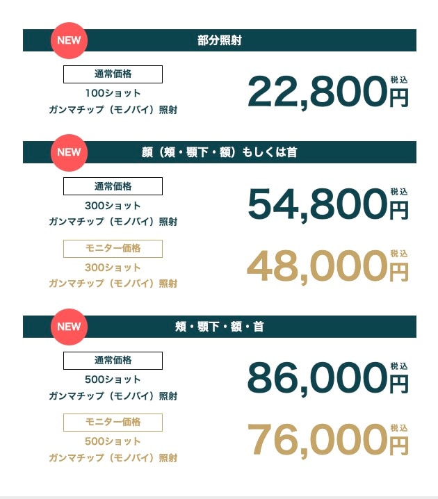 新登場！ガンマチップ