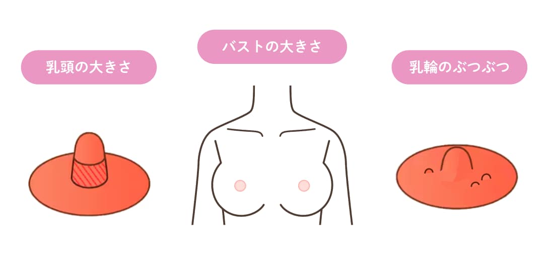 胸のお悩みをトータルで解決