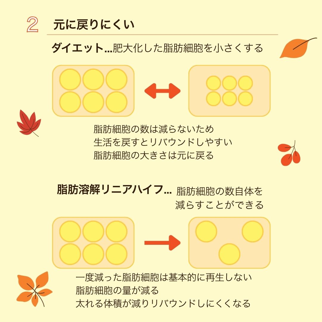 脂肪溶解リニアハイフはリバウンドしにくくなる