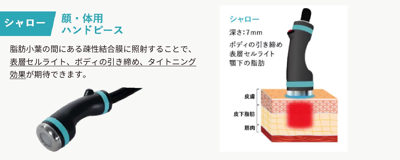 顔 / 体用ハンドピース