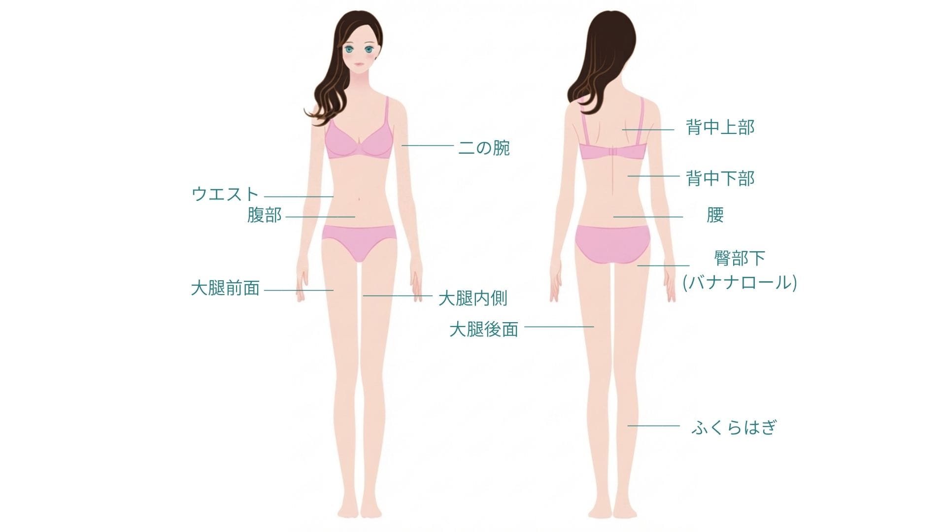 Mパーツ