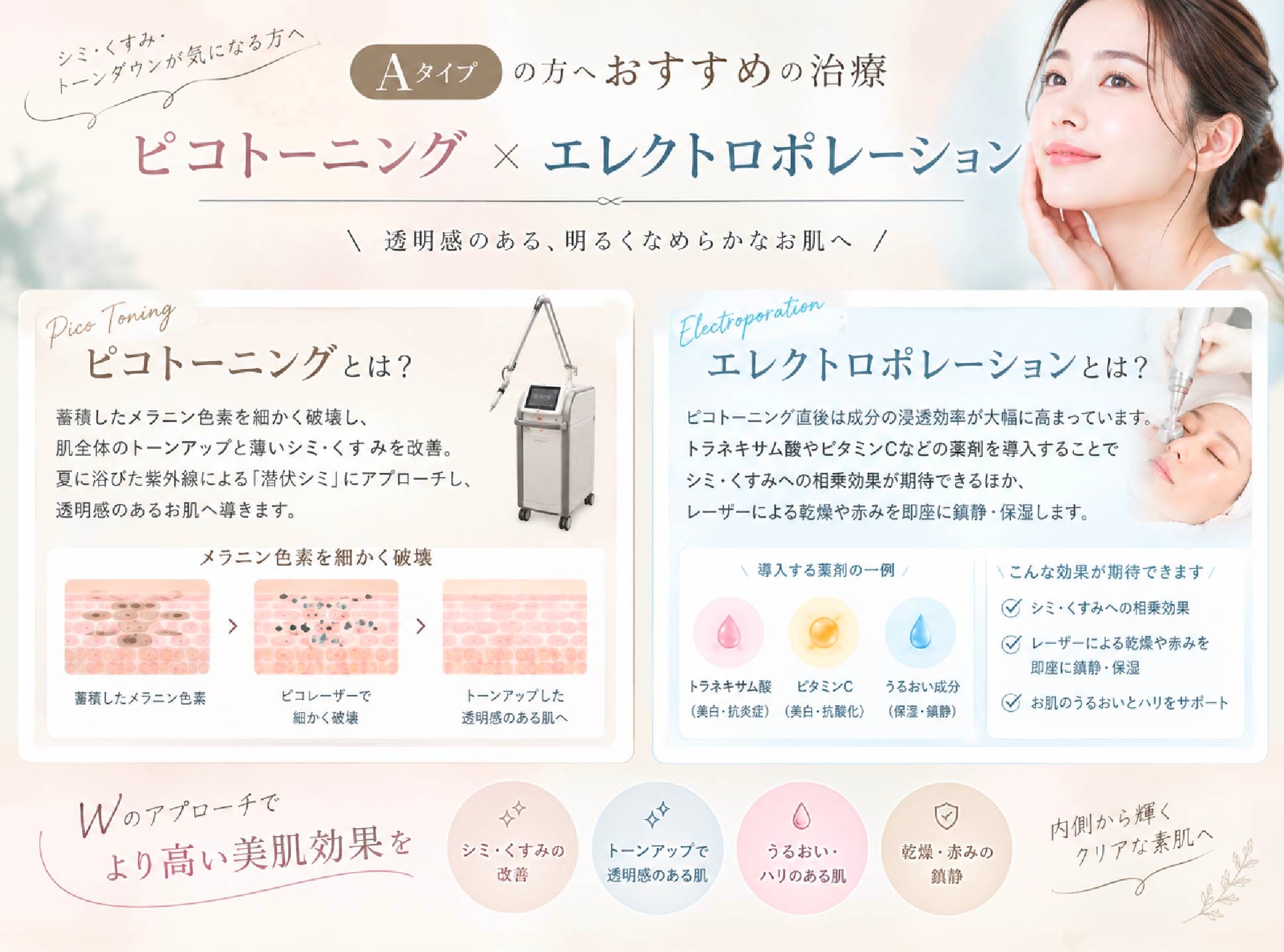 ピコトーニング × エレクトロポレーション