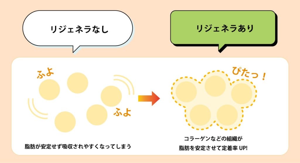 リジェネラの定着率について