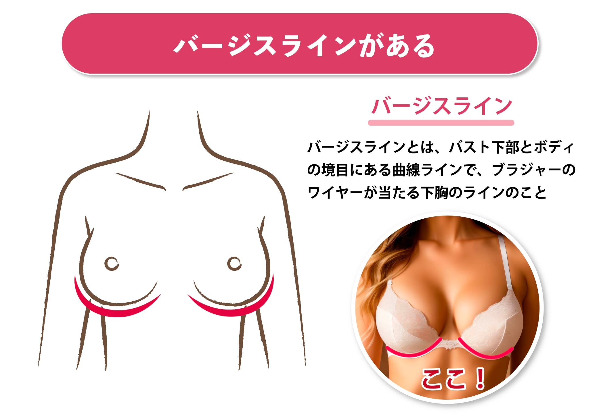 美乳房 