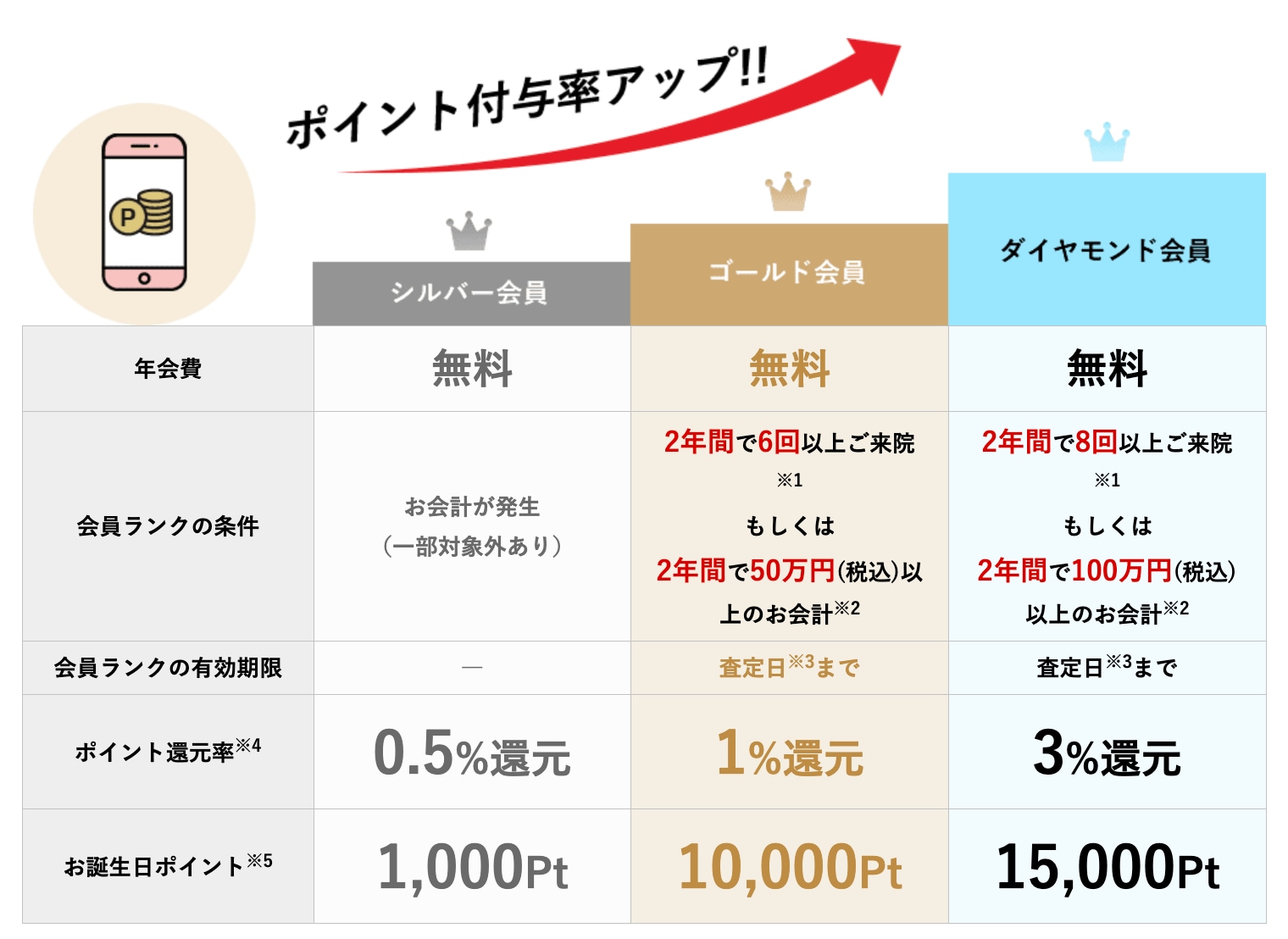 ランクアップシステムとは?