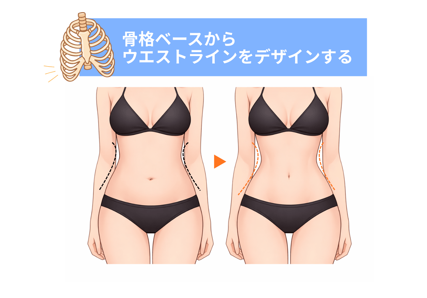 骨格からウエストのシルエットを整える