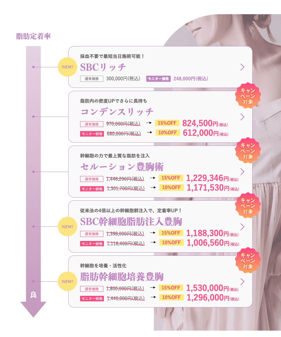 【脂肪注入豊胸】料金表