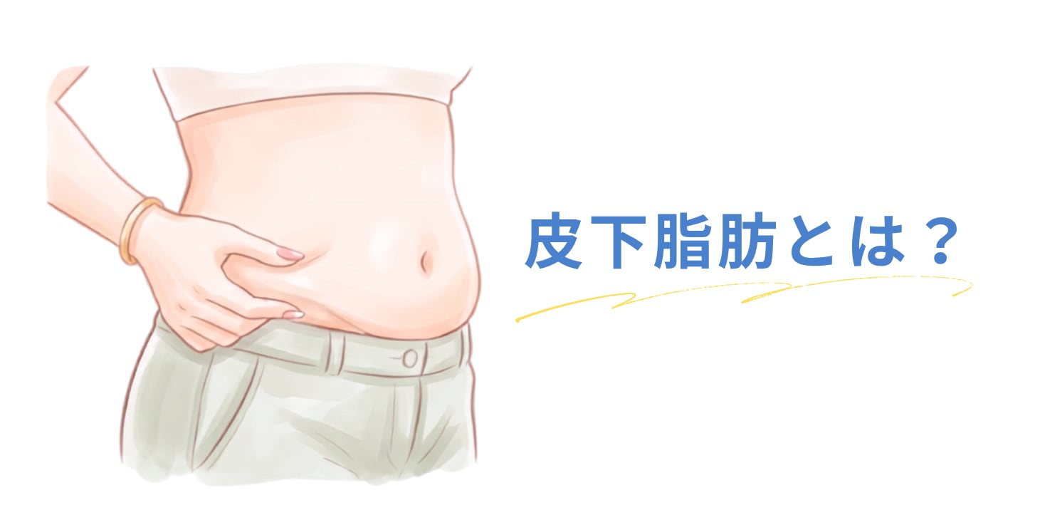 皮下脂肪とは？