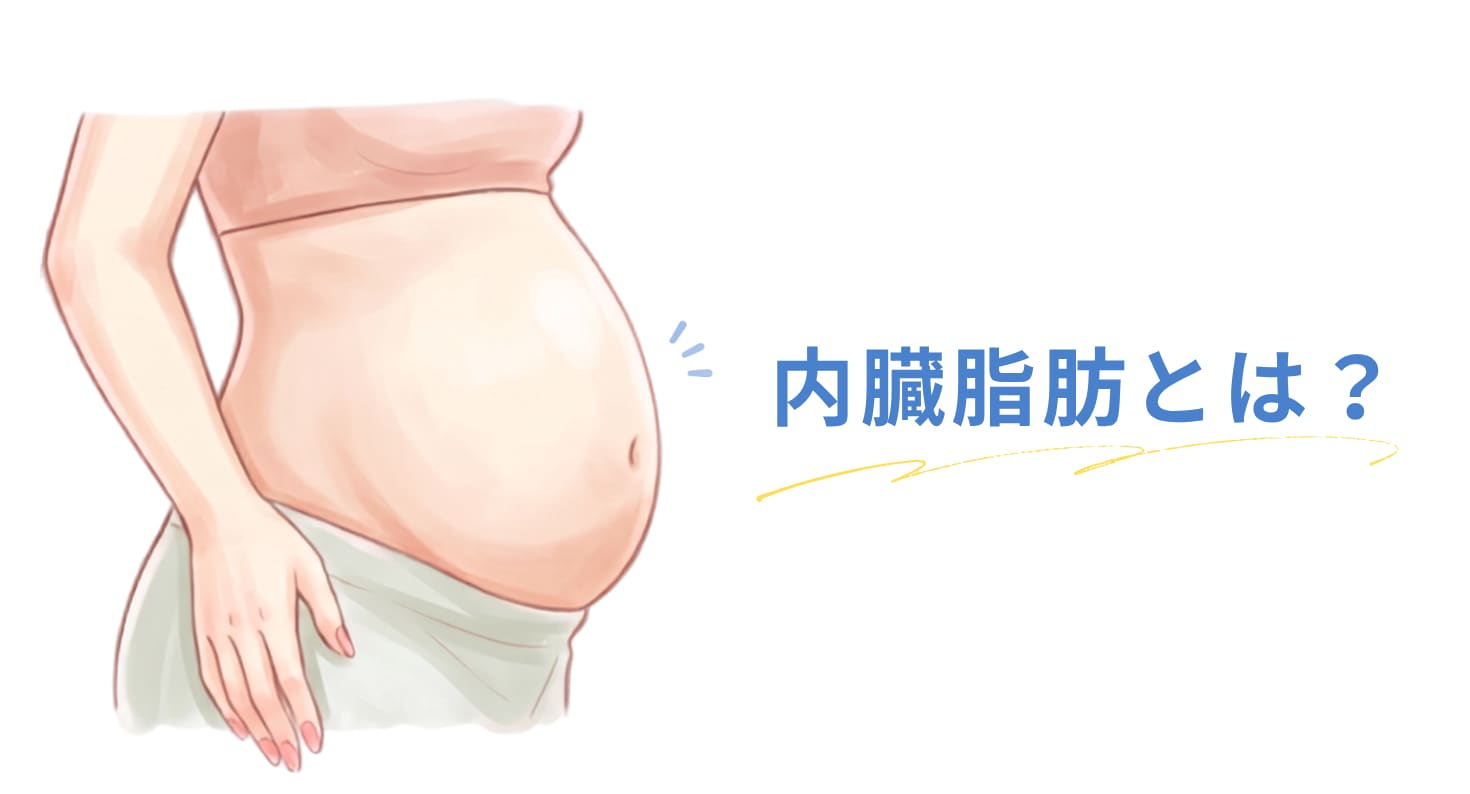 内臓脂肪とは？