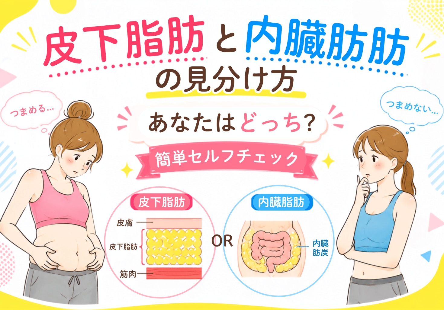 皮下脂肪と内臓脂肪の見分け方｜あなたはどっち？簡単セルフチェック