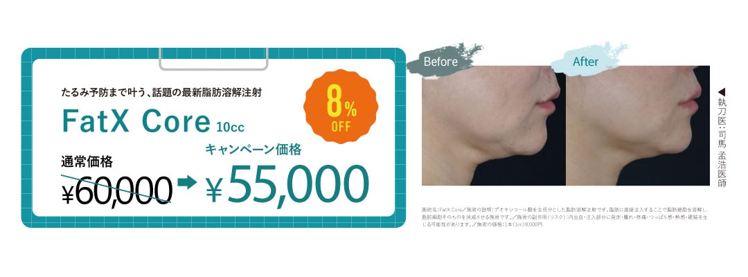 FatX core(脂肪溶解注射)