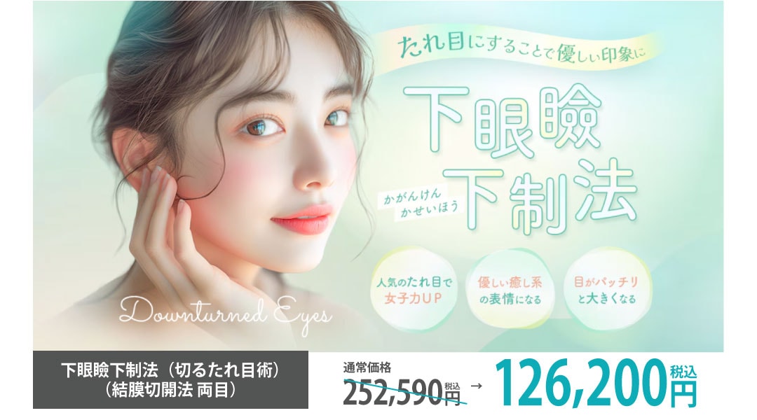 下眼瞼下制法（切るたれ目術）