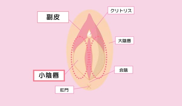 黒ずみ・左右差・見た目が気になる方