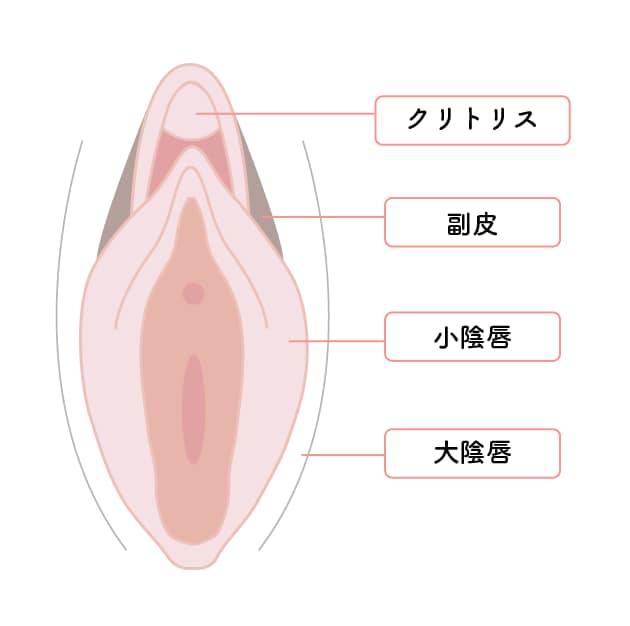 手術可能部位