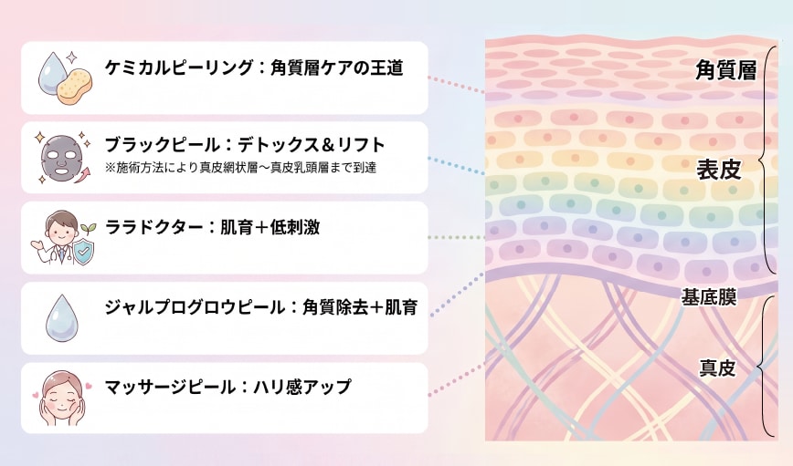 5つのピーリングの違い:どこまで届く?どう効く?