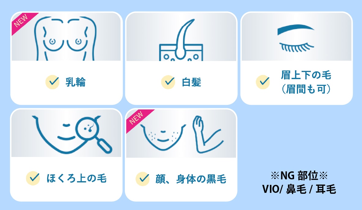 ニードル脱毛 対応可能箇所 全身対応部位
