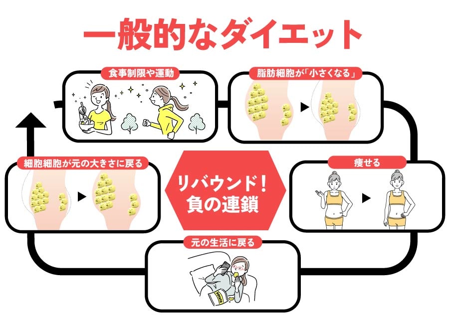 ダイエットとクルスカはここが違う！